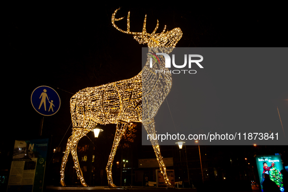 Light sculptures in different shapes are placed around the city center to celebrate Christmas in Nijmegen, on December 15, 2024. 