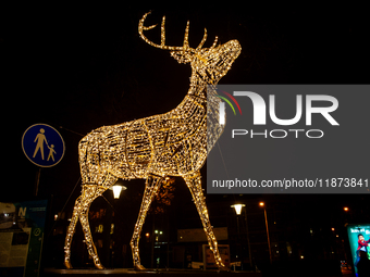 Light sculptures in different shapes are placed around the city center to celebrate Christmas in Nijmegen, on December 15, 2024. (