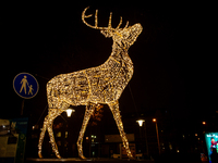 Light sculptures in different shapes are placed around the city center to celebrate Christmas in Nijmegen, on December 15, 2024. (