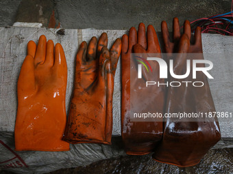 Gloves used while working on threads are left to air dry inside a dyeing center in Srinagar, Jammu and Kashmir, on December 16, 2024. Kashmi...