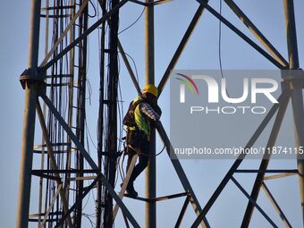 A telecom network engineer works on a mobile phone tower in Nagaon District, Assam, India, on December 16, 2024. (