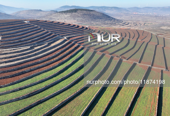 Stacked rice terraces formed by barren mountains are seen in Zaozhuang, China, on December 15, 2024. 