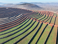 Stacked rice terraces formed by barren mountains are seen in Zaozhuang, China, on December 15, 2024. (