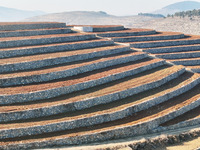 Stacked rice terraces formed by barren mountains are seen in Zaozhuang, China, on December 15, 2024. (