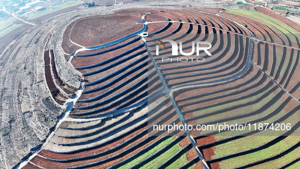 Stacked rice terraces formed by barren mountains are seen in Zaozhuang, China, on December 15, 2024. 