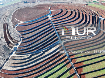 Stacked rice terraces formed by barren mountains are seen in Zaozhuang, China, on December 15, 2024. (