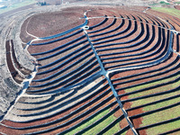 Stacked rice terraces formed by barren mountains are seen in Zaozhuang, China, on December 15, 2024. (