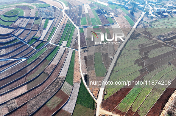 Stacked rice terraces formed by barren mountains are seen in Zaozhuang, China, on December 15, 2024. 