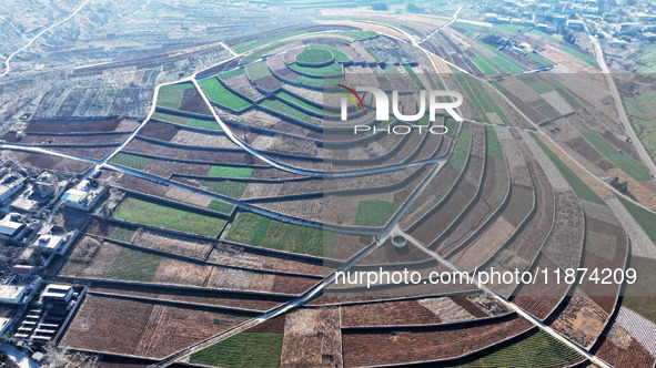 Stacked rice terraces formed by barren mountains are seen in Zaozhuang, China, on December 15, 2024. 