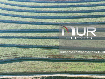 Stacked rice terraces formed by barren mountains are seen in Zaozhuang, China, on December 15, 2024. (