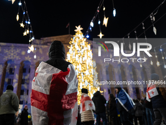 The main Christmas tree and New Year's illuminations are illuminated on Rustaveli Avenue as anti-government demonstrators gather outside the...