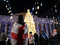 The main Christmas tree and New Year's illuminations are illuminated on Rustaveli Avenue as anti-government demonstrators gather outside the...