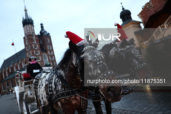 Horses wearing Christmas hats stand at Main Square in Krakow, Poland on December 16, 2024. 