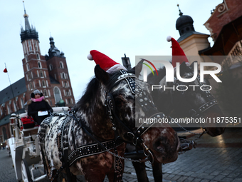 Horses wearing Christmas hats stand at Main Square in Krakow, Poland on December 16, 2024. (