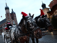 Horses wearing Christmas hats stand at Main Square in Krakow, Poland on December 16, 2024. (