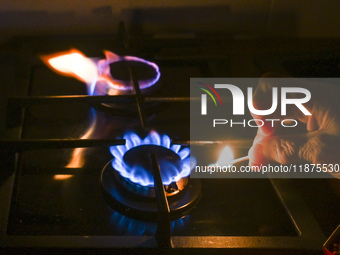 RZESZOW, POLAND - DECEMBER 16:
A person lights a match to ignite the natural gas burner of a natural-gas-burning stove, on December 16, 2024...