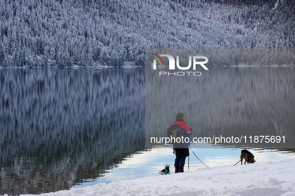 A woman with two dogs stands near the edge of the snow-covered Lake Eibsee, holding the leashes of two dogs, in Grainau, Bavaria, Germany, o...