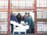 Villagers work at a production workshop of a textile company in Suqian, Jiangsu province, China, on December 16, 2024. (