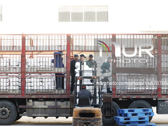 Villagers work at a production workshop of a textile company in Suqian, Jiangsu province, China, on December 16, 2024. (