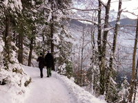 Hikers are at Eibsee in Grainau, Bavaria, Germany, on December 13, 2024. The lake is located 9 km southwest of Garmisch-Partenkirchen below...