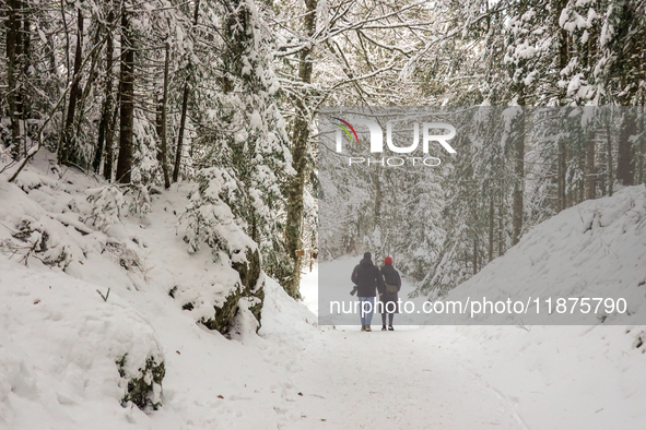 Hikers are at Eibsee in Grainau, Bavaria, Germany, on December 13, 2024. The lake is located 9 km southwest of Garmisch-Partenkirchen below...