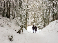 Hikers are at Eibsee in Grainau, Bavaria, Germany, on December 13, 2024. The lake is located 9 km southwest of Garmisch-Partenkirchen below...