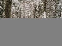 Hikers are at Eibsee in Grainau, Bavaria, Germany, on December 13, 2024. The lake is located 9 km southwest of Garmisch-Partenkirchen below...