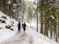 Hikers are at Eibsee in Grainau, Bavaria, Germany, on December 13, 2024. The lake is located 9 km southwest of Garmisch-Partenkirchen below...