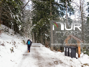 Hikers are at Eibsee in Grainau, Bavaria, Germany, on December 13, 2024. The lake is located 9 km southwest of Garmisch-Partenkirchen below...