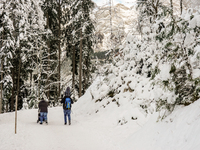 Hikers are at Eibsee in Grainau, Bavaria, Germany, on December 13, 2024. The lake is located 9 km southwest of Garmisch-Partenkirchen below...