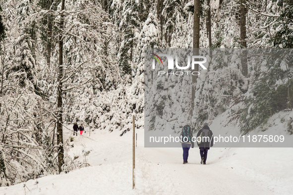 Hikers are at Eibsee in Grainau, Bavaria, Germany, on December 13, 2024. The lake is located 9 km southwest of Garmisch-Partenkirchen below...