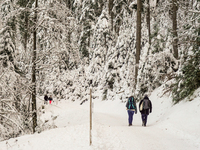 Hikers are at Eibsee in Grainau, Bavaria, Germany, on December 13, 2024. The lake is located 9 km southwest of Garmisch-Partenkirchen below...