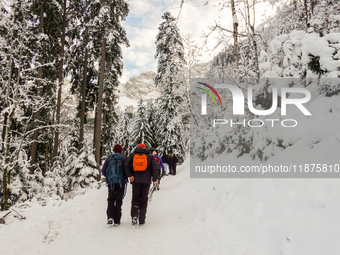 Hikers are at Eibsee in Grainau, Bavaria, Germany, on December 13, 2024. The lake is located 9 km southwest of Garmisch-Partenkirchen below...