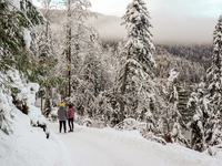 Hikers are at Eibsee in Grainau, Bavaria, Germany, on December 13, 2024. The lake is located 9 km southwest of Garmisch-Partenkirchen below...