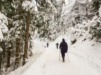 Hikers are at Eibsee in Grainau, Bavaria, Germany, on December 13, 2024. The lake is located 9 km southwest of Garmisch-Partenkirchen below...