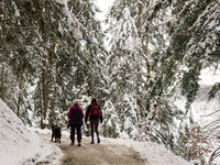 Hikers are at Eibsee in Grainau, Bavaria, Germany, on December 13, 2024. The lake is located 9 km southwest of Garmisch-Partenkirchen below...