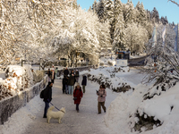 Hikers are at Eibsee in Grainau, Bavaria, Germany, on December 13, 2024. The lake is located 9 km southwest of Garmisch-Partenkirchen below...