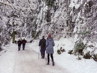 Hikers are at Eibsee in Grainau, Bavaria, Germany, on December 13, 2024. The lake is located 9 km southwest of Garmisch-Partenkirchen below...