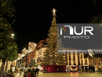 A large Christmas tree lights up Piazza Torquato Tasso in Sorrento, Naples, Italy, on December 16, 2024. Sorrento is a town overlooking the...