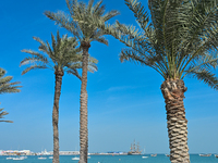 The Amerigo Vespucci, the historic sailing ship and training ship of the Italian navy, docks in Old Doha Port, Qatar, on December 17, 2024,...