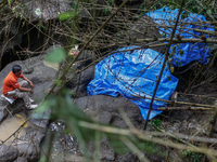 Officials observe the carcass of a 45-year-old female Sumatran elephant named Molly, found dead at a riverbank after being carried away by a...