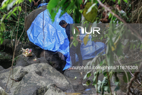 Officials observe the carcass of a 45-year-old female Sumatran elephant named Molly, found dead at a riverbank after being carried away by a...