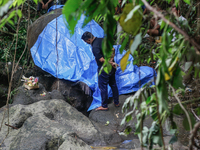 Officials observe the carcass of a 45-year-old female Sumatran elephant named Molly, found dead at a riverbank after being carried away by a...