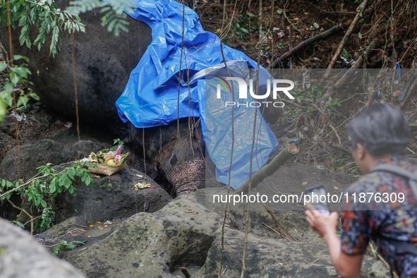 Officials observe the carcass of a 45-year-old female Sumatran elephant named Molly, found dead at a riverbank after being carried away by a...