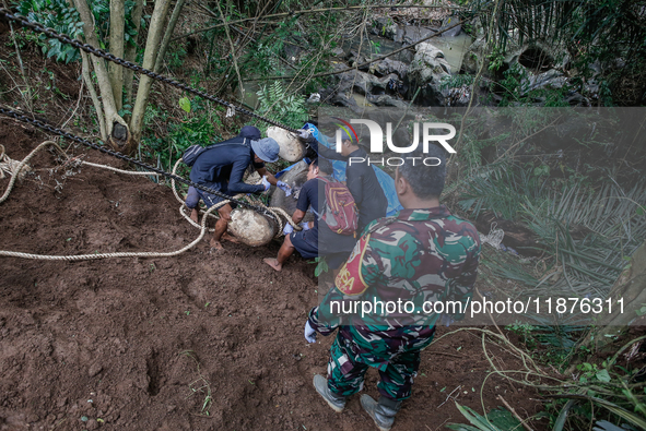 Workers and officials remove the carcass of a 45-year-old female Sumatran elephant named Molly, found dead at a riverbank after being carrie...