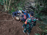 Workers and officials remove the carcass of a 45-year-old female Sumatran elephant named Molly, found dead at a riverbank after being carrie...