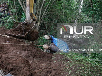 Workers and officials remove the carcass of a 45-year-old female Sumatran elephant named Molly, found dead at a riverbank after being carrie...