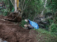 Workers and officials remove the carcass of a 45-year-old female Sumatran elephant named Molly, found dead at a riverbank after being carrie...