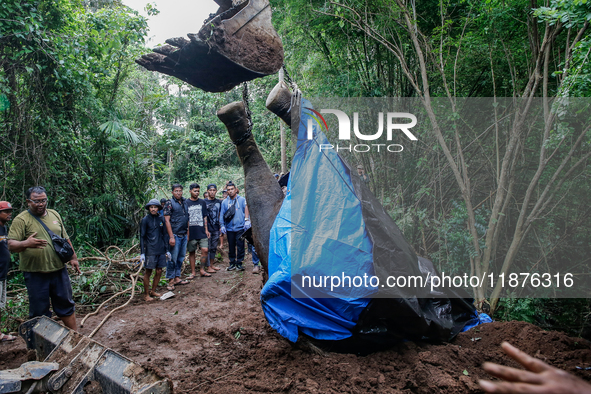 Workers and officials remove the carcass of a 45-year-old female Sumatran elephant named Molly, found dead at a riverbank after being carrie...