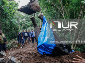 Workers and officials remove the carcass of a 45-year-old female Sumatran elephant named Molly, found dead at a riverbank after being carrie...